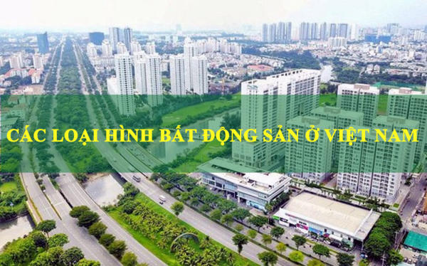  Các loại hình bất động sản ở Việt Nam (Nguồn: Internet) 
